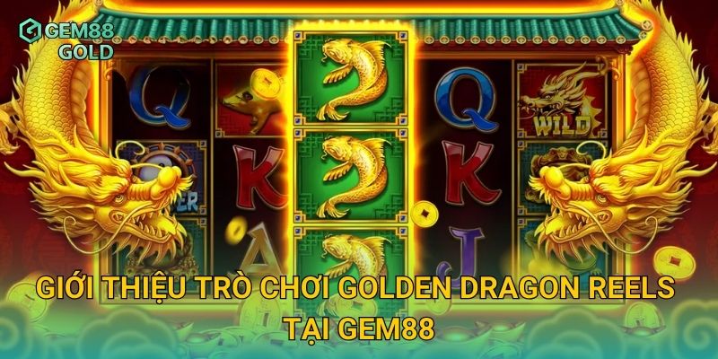 Golden Dragon Reels Và Bí Quyết Săn Thưởng Rồng Vàng Cực Đỉnh 2 Giới thiệu trò chơi Golden Dragon Reels tại Gem88